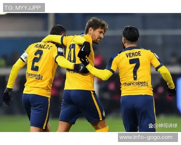 意甲分析:维罗纳主场形势严峻难以取胜的原因探讨 意甲分析:维罗纳主场形势严峻难以取胜的原因探讨